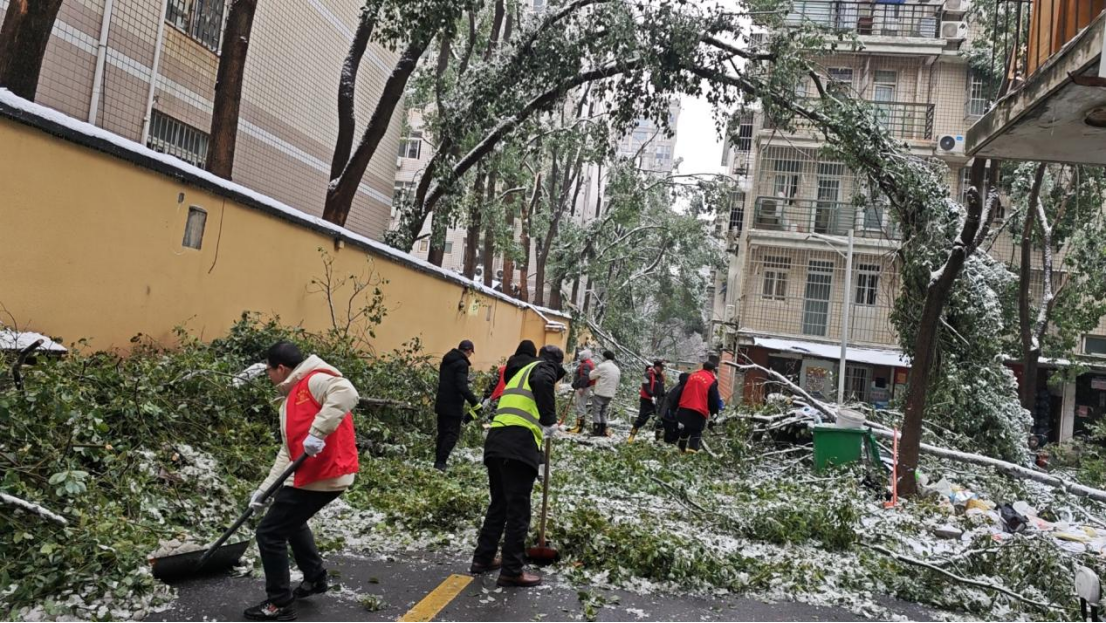 AG8�콢����(�й�)������ҳ