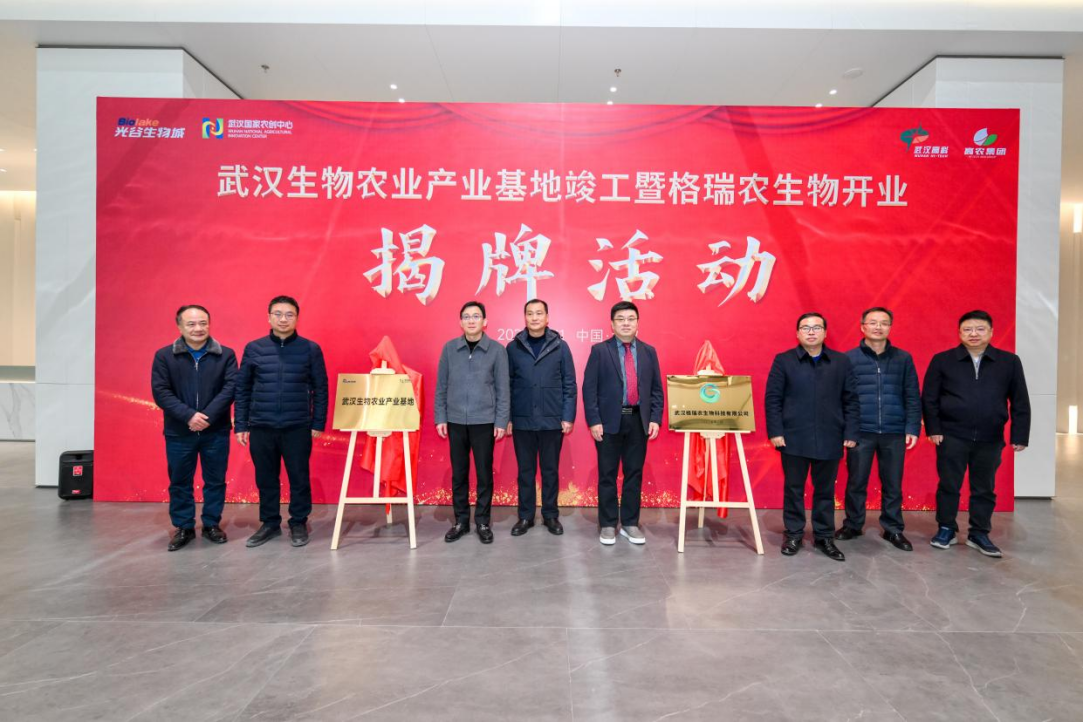 AG8�콢����(�й�)������ҳ