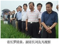 AG8�콢����(�й�)������ҳ