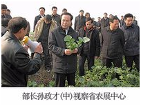 AG8�콢����(�й�)������ҳ