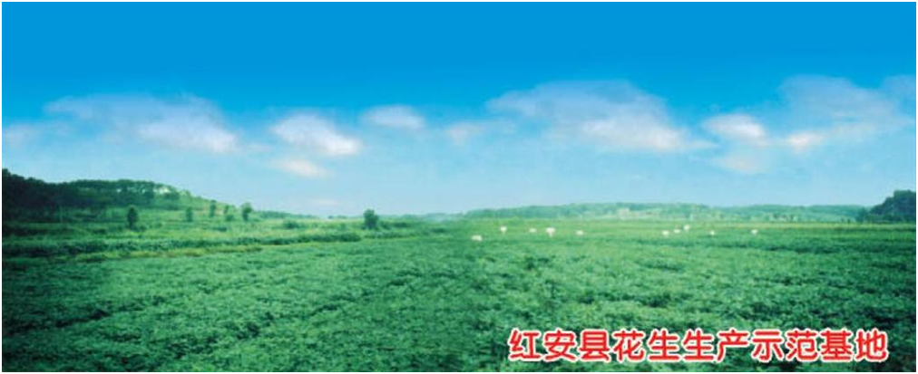 AG8Æì½¢Ìü¡¤(Öйú)¼¯ÍÅÊ×Ò³