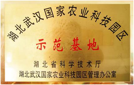 AG8Æì½¢Ìü¡¤(Öйú)¼¯ÍÅÊ×Ò³