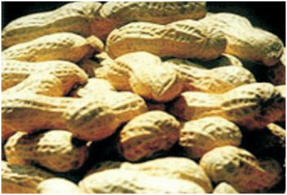 AG8�콢����(�й�)������ҳ