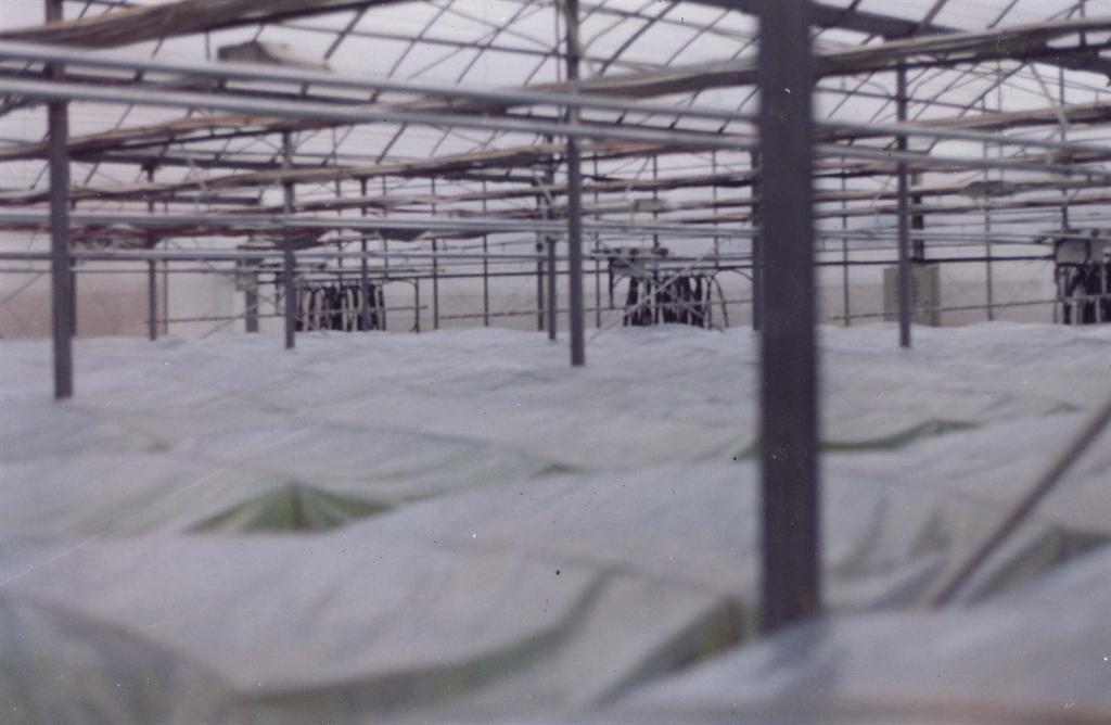 AG8�콢����(�й�)������ҳ