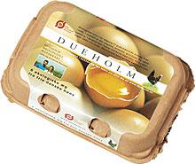 AG8Æì½¢Ìü¡¤(Öйú)¼¯ÍÅÊ×Ò³