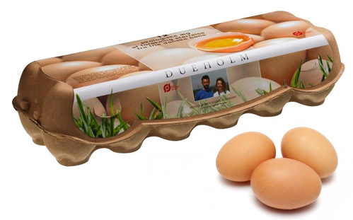 AG8Æì½¢Ìü¡¤(Öйú)¼¯ÍÅÊ×Ò³