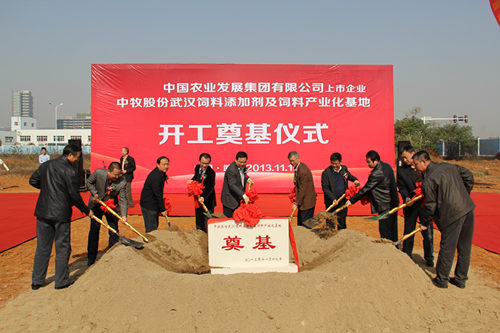 AG8�콢����(�й�)������ҳ