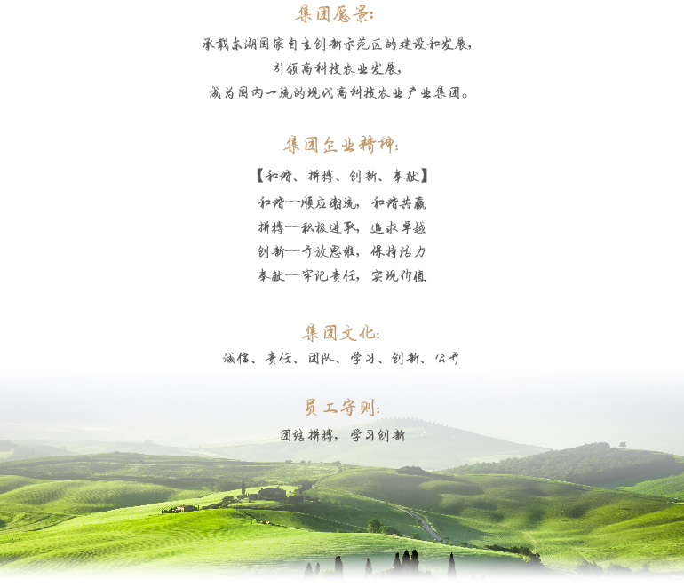 AG8�콢����(�й�)������ҳ