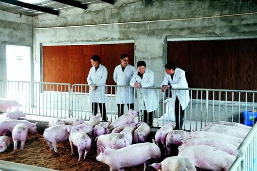 AG8�콢����(�й�)������ҳ