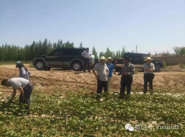 AG8�콢����(�й�)������ҳ