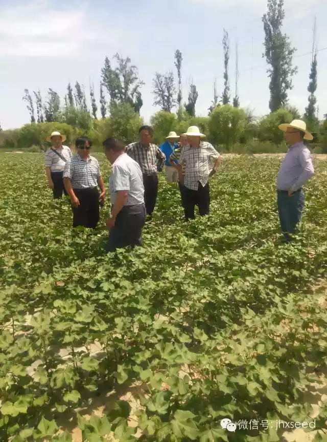 AG8�콢����(�й�)������ҳ