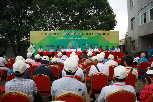 AG8�콢����(�й�)������ҳ