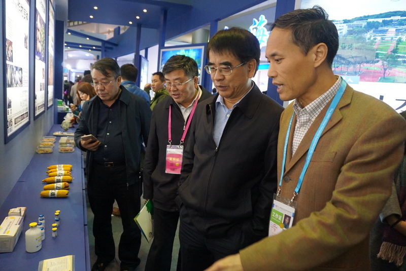 AG8�콢����(�й�)������ҳ