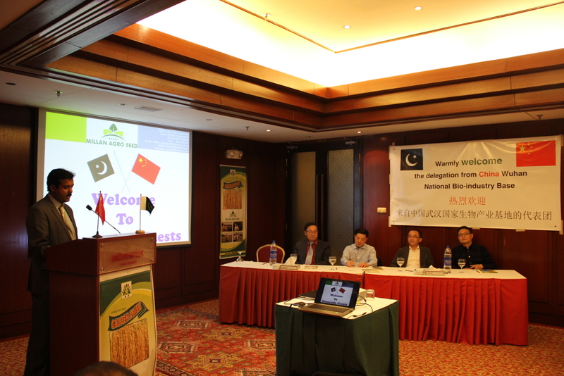 AG8�콢����(�й�)������ҳ