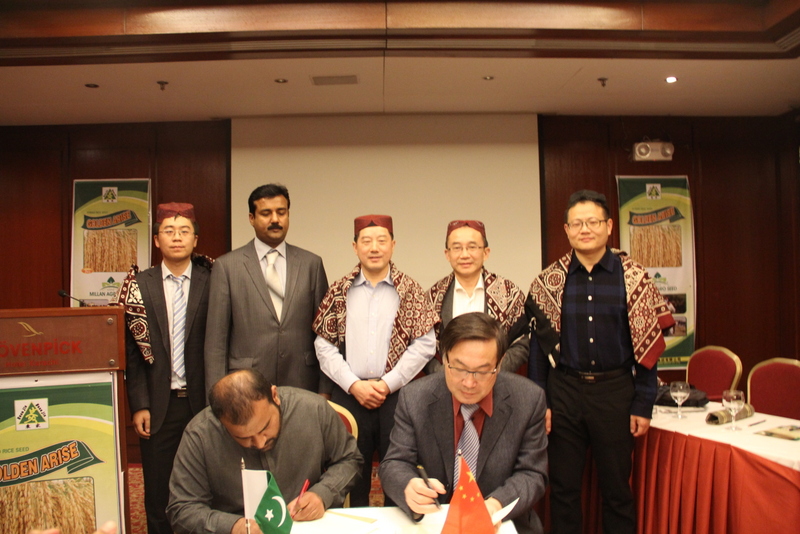 AG8�콢����(�й�)������ҳ