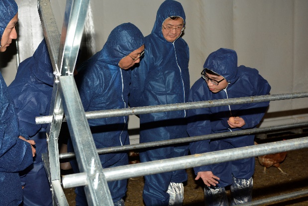 AG8Æì½¢Ìü¡¤(Öйú)¼¯ÍÅÊ×Ò³