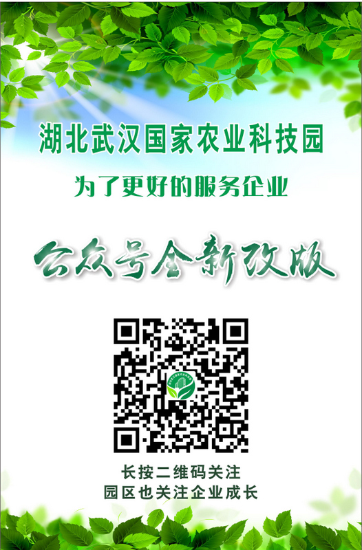 AG8�콢����(�й�)������ҳ