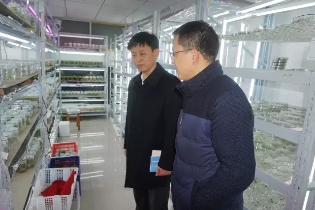 AG8�콢����(�й�)������ҳ