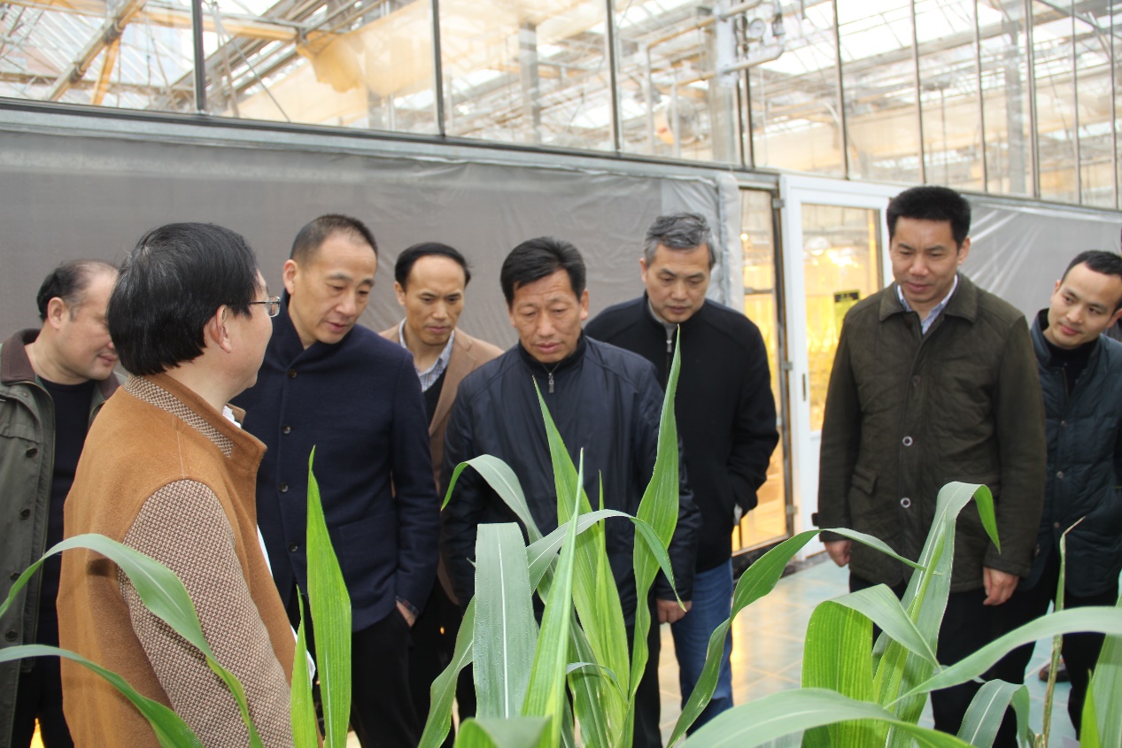 AG8�콢����(�й�)������ҳ