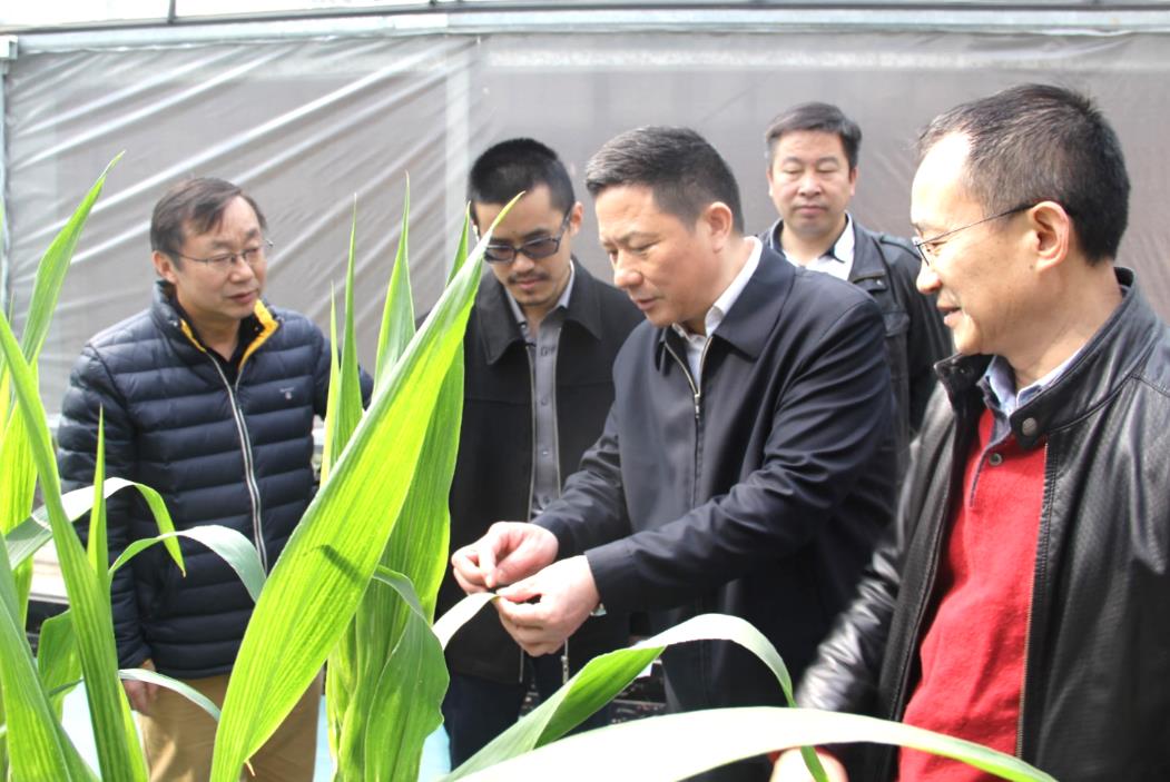 AG8�콢����(�й�)������ҳ