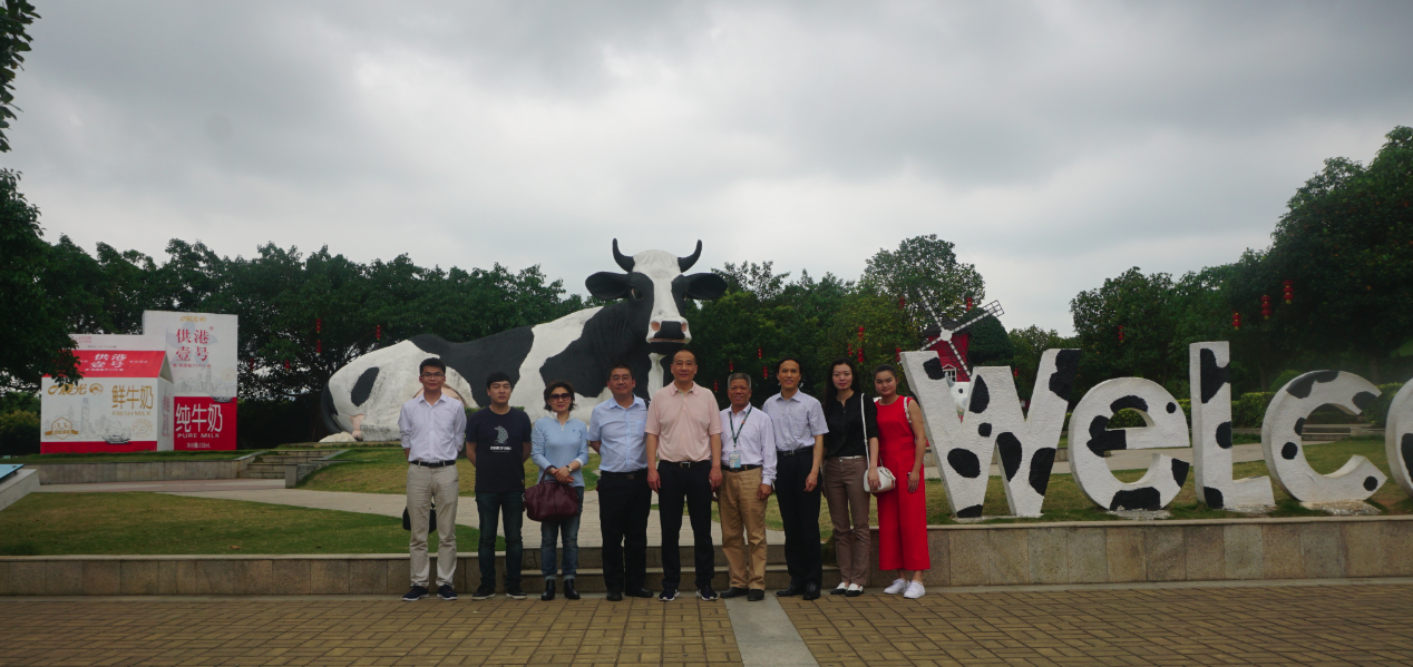 AG8�콢����(�й�)������ҳ