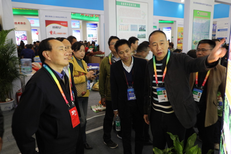 AG8�콢����(�й�)������ҳ