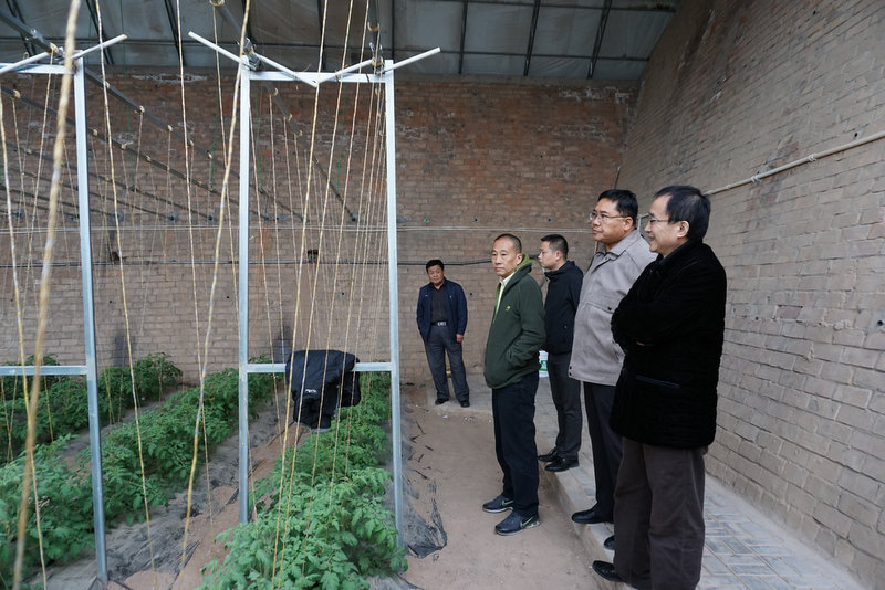 AG8�콢����(�й�)������ҳ