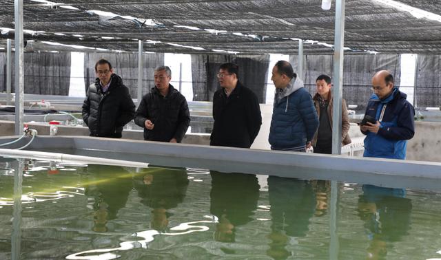 AG8�콢����(�й�)������ҳ