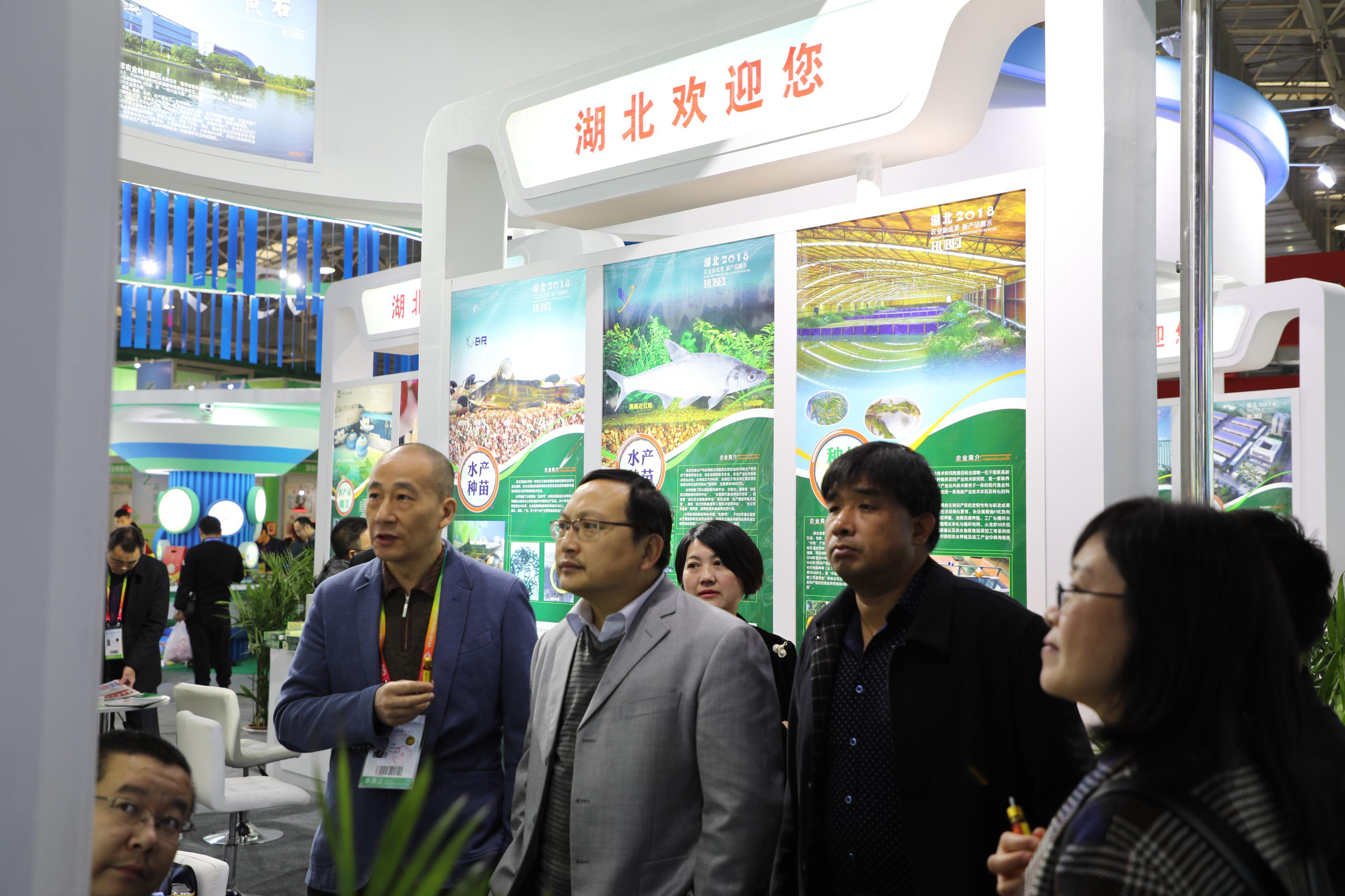 AG8�콢����(�й�)������ҳ