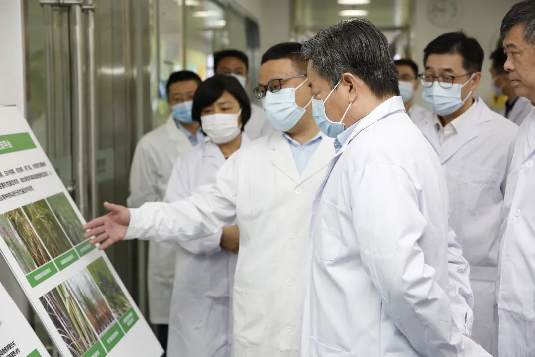 AG8Æì½¢Ìü¡¤(Öйú)¼¯ÍÅÊ×Ò³